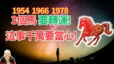 1978 馬 五行|【1978年 生肖】1978年生肖運勢搶先看！45歲屬馬者必讀！